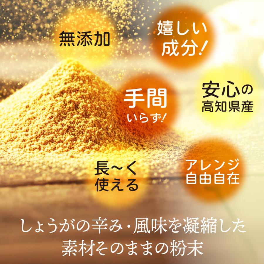高知産黄金しょうが100% しょうが粉末 50g 送料無料 国産100％ ジンジャー パウダー 乾燥生姜 黄金生姜 坂田信夫商店 | 坂田信夫商店 | 02