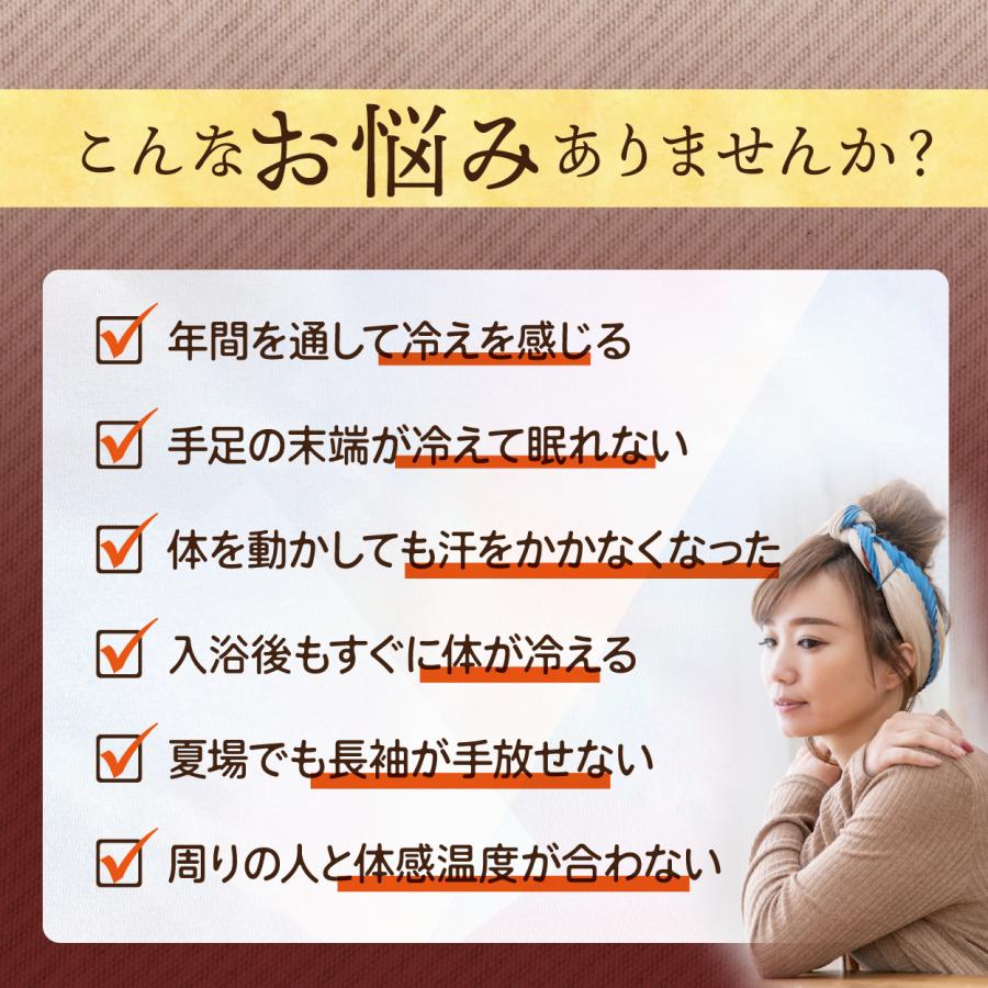 高知産黄金しょうが100% しょうが粉末 50g 送料無料 国産100％ ジンジャー パウダー 乾燥生姜 黄金生姜 坂田信夫商店 | 坂田信夫商店 | 03