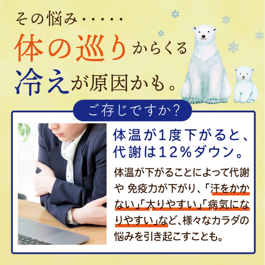 高知産黄金しょうが100% しょうが粉末 50g 送料無料 国産100％ ジンジャー パウダー 乾燥生姜 黄金生姜 坂田信夫商店 | 坂田信夫商店 | 04