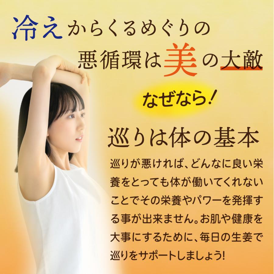 高知産黄金しょうが100% しょうが粉末 50g 送料無料 国産100％ ジンジャー パウダー 乾燥生姜 黄金生姜 坂田信夫商店 | 坂田信夫商店 | 05