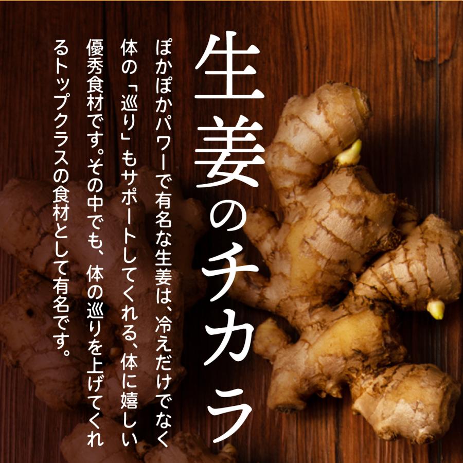 高知産黄金しょうが100% しょうが粉末 50g 送料無料 国産100％ ジンジャー パウダー 乾燥生姜 黄金生姜 坂田信夫商店 | 坂田信夫商店 | 06