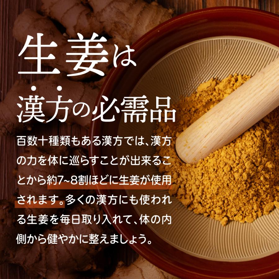高知産黄金しょうが100% しょうが粉末 50g 送料無料 国産100％ ジンジャー パウダー 乾燥生姜 黄金生姜 坂田信夫商店 | 坂田信夫商店 | 07