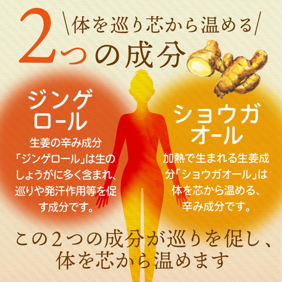 高知産黄金しょうが100% しょうが粉末 50g 送料無料 国産100％ ジンジャー パウダー 乾燥生姜 黄金生姜 坂田信夫商店 | 坂田信夫商店 | 08