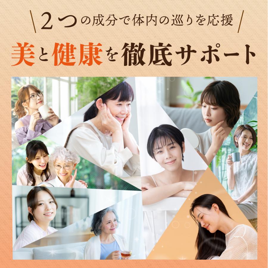 高知産黄金しょうが100% しょうが粉末 50g 送料無料 国産100％ ジンジャー パウダー 乾燥生姜 黄金生姜 坂田信夫商店 | 坂田信夫商店 | 09
