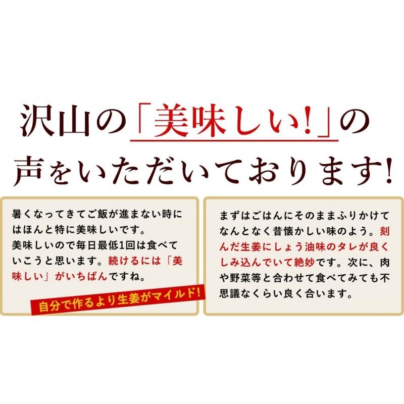 サクサク味付け極しょうが 110g×4 送料無料 国産100％ 酢しょうが ショウガ おかず生姜 ふりかけ ご飯の友 坂田信夫商店 |  | 03