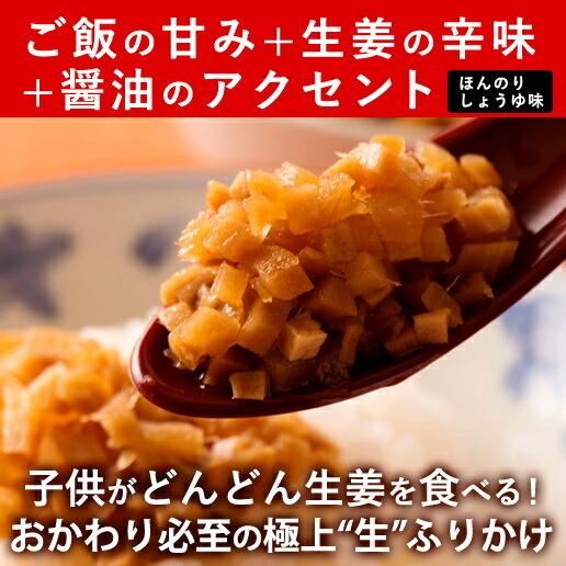 サクサク味付け極しょうが 110g×10 送料無料  国産 酢しょうが ショウガ おかず生姜 ふりかけ ご飯の友 坂田信夫商店｜koganenosato｜02