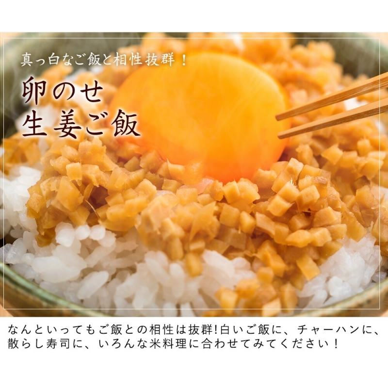 サクサク味付け極しょうが 110g×6 送料無料  国産 酢しょうが ショウガ おかず生姜 ふりかけ ご飯の友 坂田信夫商店 |  | 04