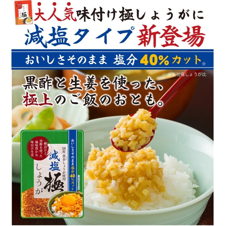 減塩 サクサク味付け極しょうが 110g 送料無料 |  | 01