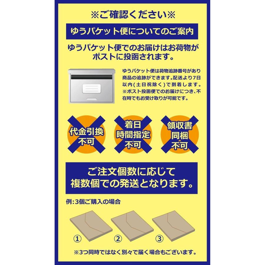 減塩 サクサク味付け極しょうが 110g 送料無料 |  | 05