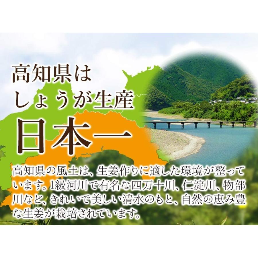 高知産しょうが お試しセット 送料無料 生姜 高知 国産 黄金しょうが 大しょうが 三州しょうが お試し｜koganenosato｜03