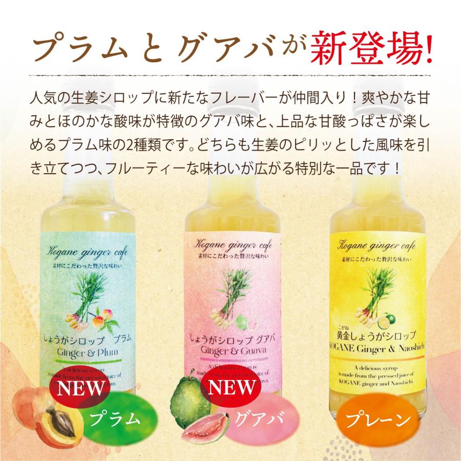 ジンジャーシロップ　3本セット シロップ3本ギフトセット - HOMEMAKERS ONLINE STORE