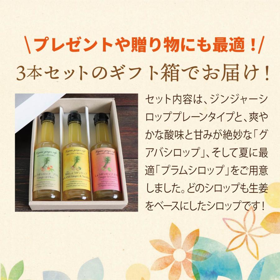 ジンジャーシロップ　3本セット ジンジャーシロップ3本セット | ウチルカ