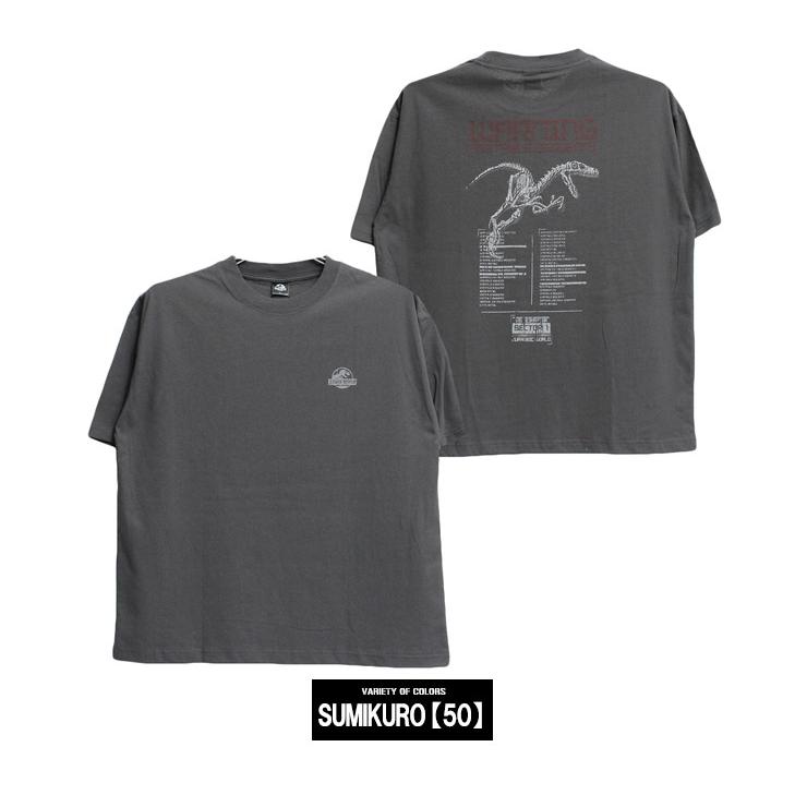 JURASSIC PARK(ジュラシックパーク) 半袖 Tシャツ メンズ ピグメント風