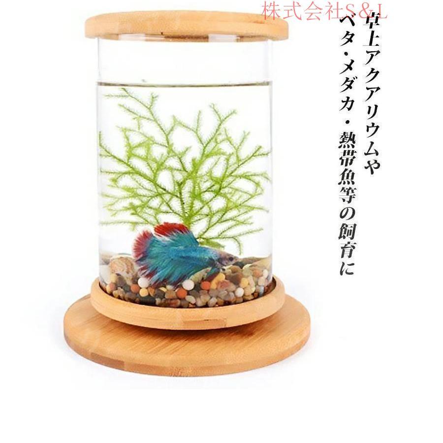 送料込み　taat　水槽 送料込み taat 水槽 送料込み taat様専用 水槽