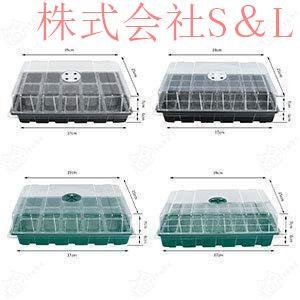 2025実生苗セットd 4センチポット No.14004 アルテルナンセラ オーヴォホショ 3号苗ポット 3ポット