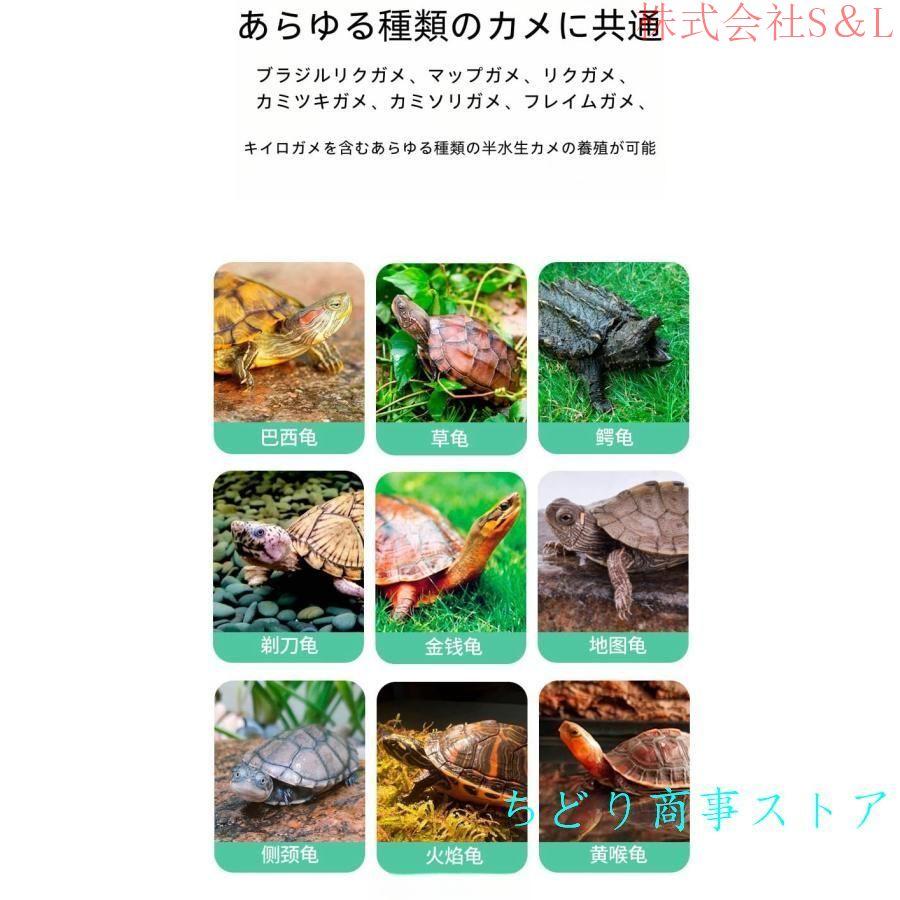 亀 水槽 大きい ガラス ボックス カメの水槽 タートルタンク排水 亀 水槽 大きい ガラス ボックス カメの水槽 タートルタンク排水