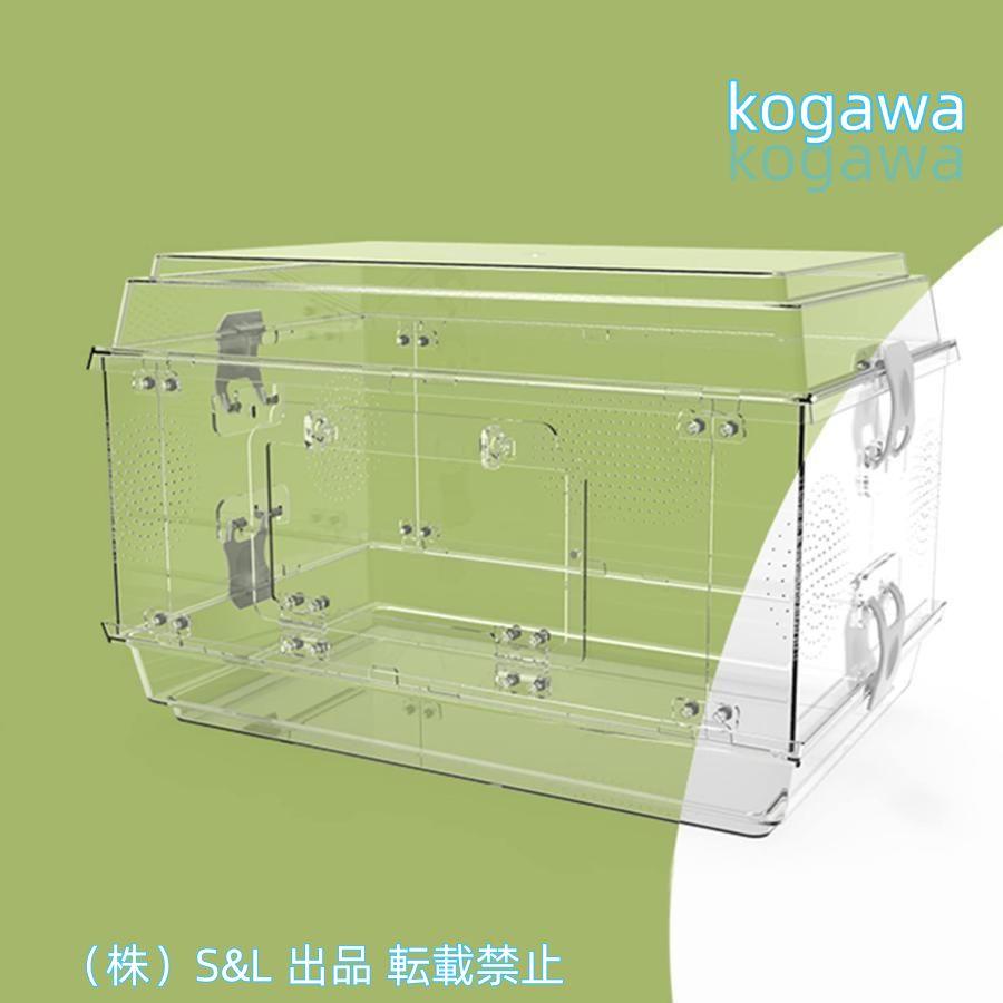 爬虫類ケージ2個即育成セット限定土日プレゼント
