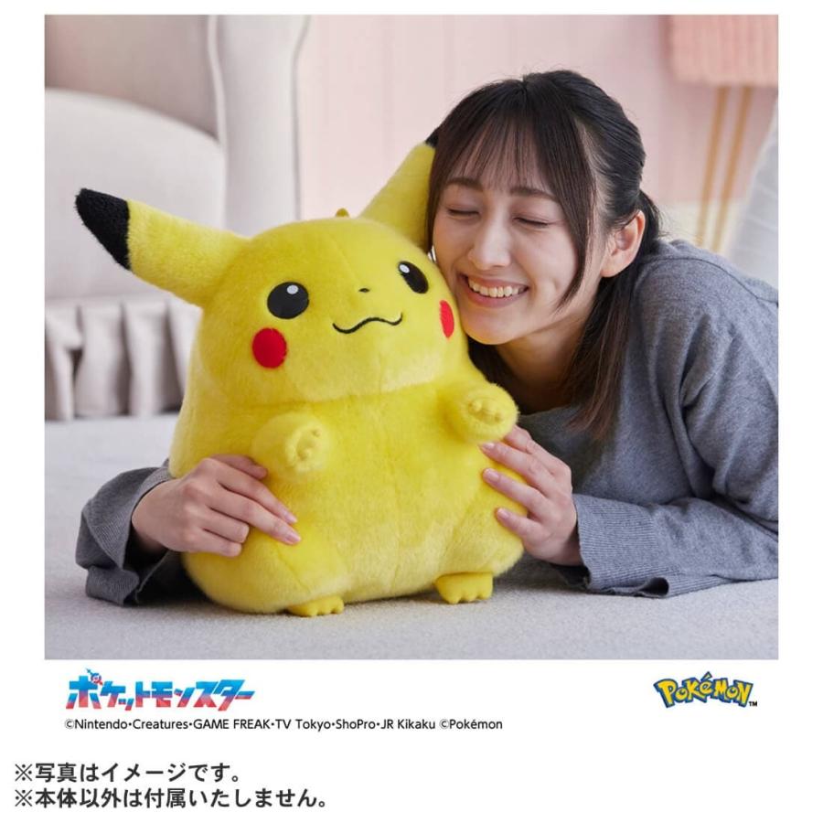 タカラトミー ポケットモンスター ポケモン30周年記念 おかえり