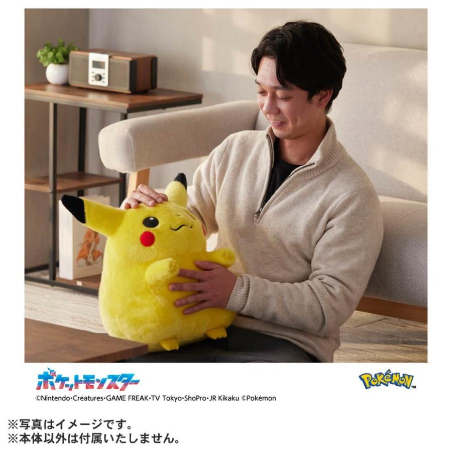 タカラトミー ポケットモンスター ポケモン30周年記念 おかえり