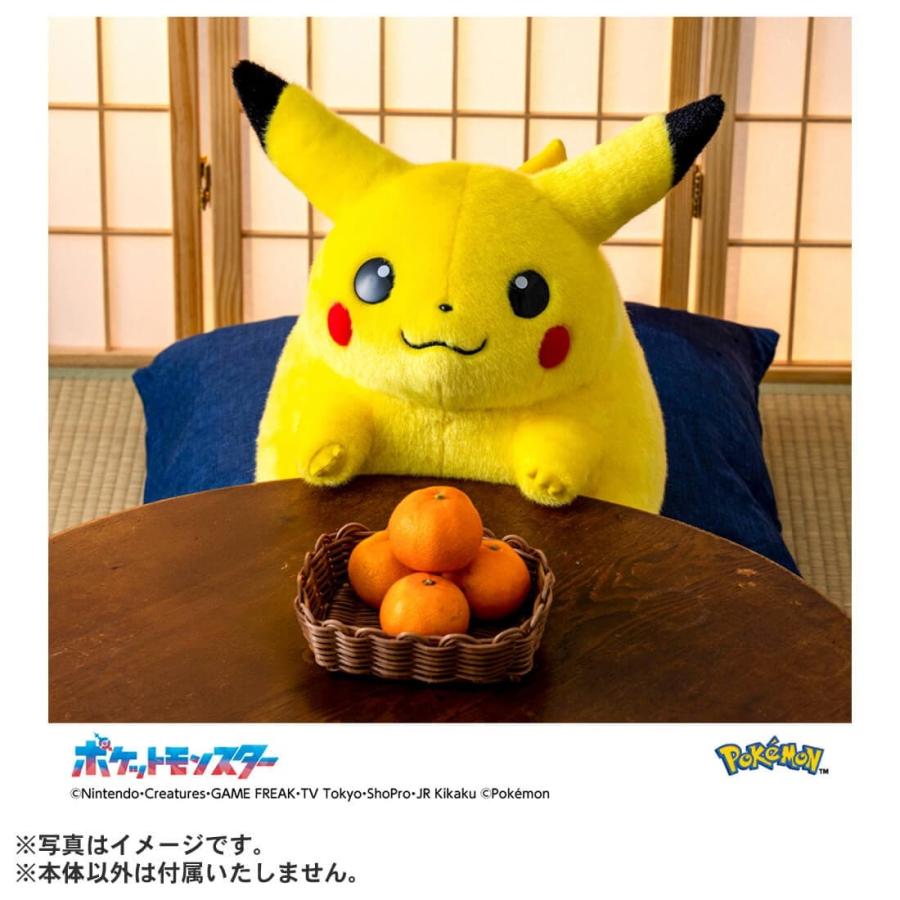 タカラトミー ポケットモンスター ポケモン30周年記念 おかえり