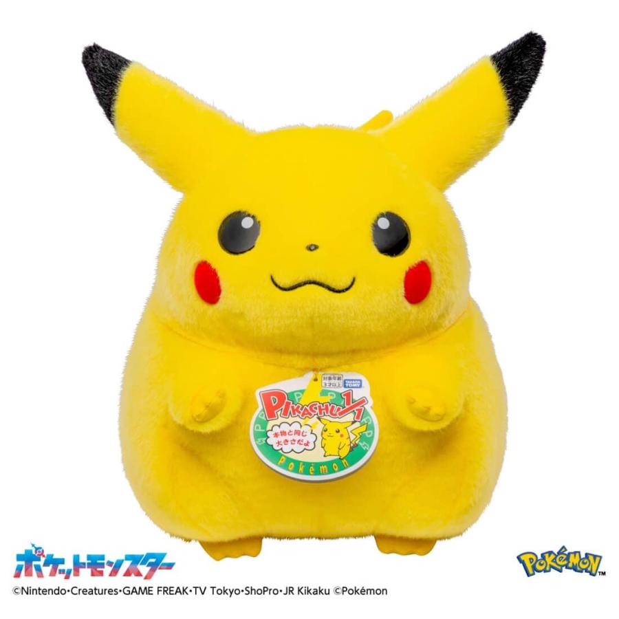 タカラトミー ポケットモンスター ポケモン30周年記念 おかえり