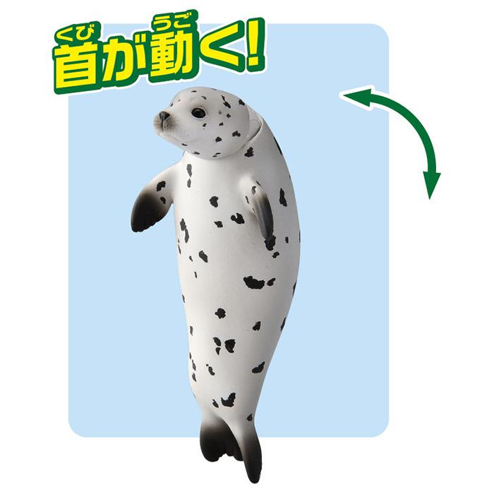 タカラトミー アニア AS-22 ゴマフアザラシ 水に浮くVer. おもちゃ こども 子供 アニマル 海洋生物 ギフト プレゼント｜kogumastore｜05