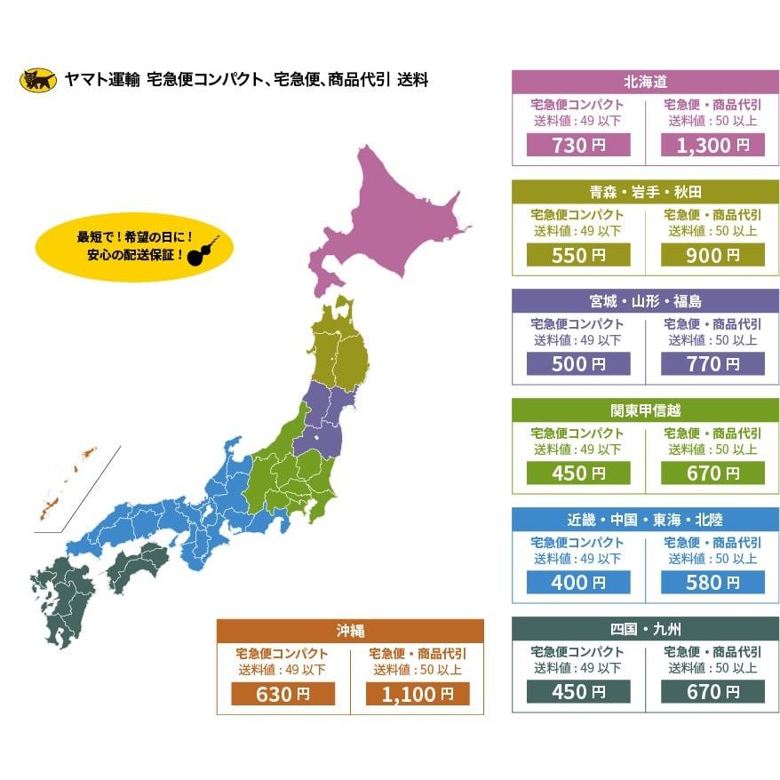 送料無料】 NS 日進工具 AL4D-2DLC-12 アルミ専用エンドミル DLC 送料無料】 NS 日進工具 AL4D-2DLC-12 アルミ専用エンドミル DLC