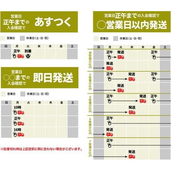 定形外可】 NS 日進工具 MX235-0.8 無限コーティング リード35 定形外可】 NS 日進工具 MX235-0.8 無限コーティング リード35