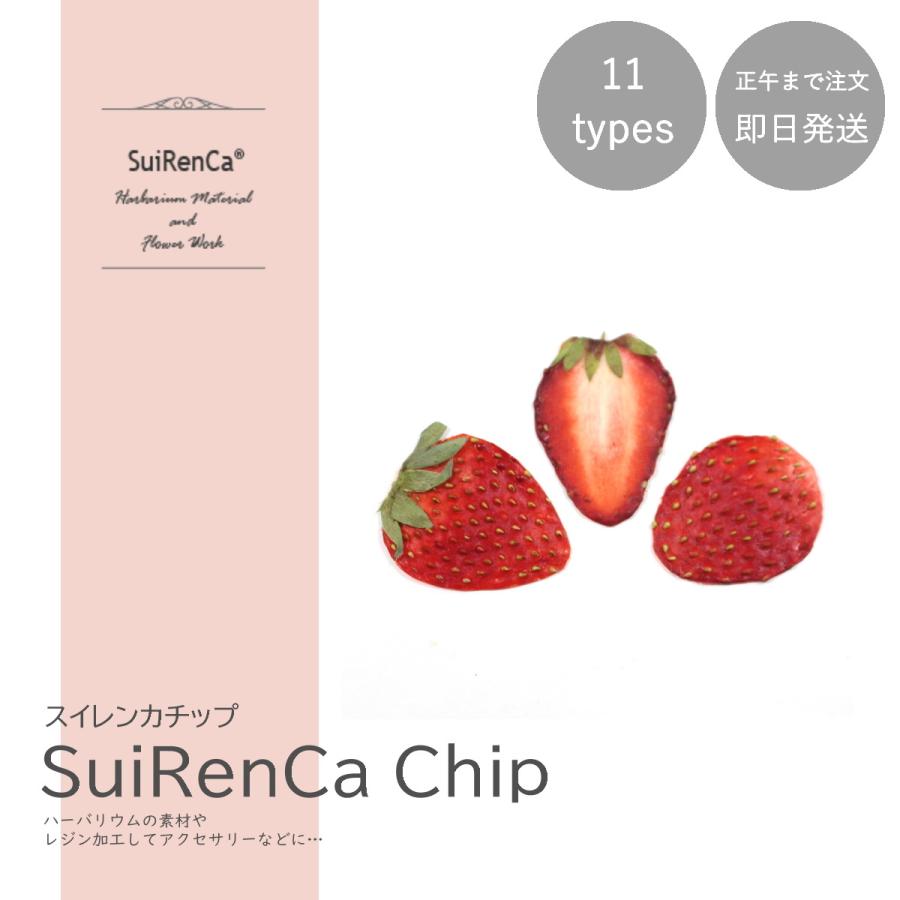 フルーツチップ 押し野菜 ドライ パーツ 素材 ハーバリウム Srcc St スイレンカチップ ストロベリー