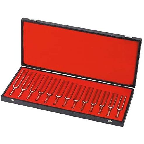 【2021最新作】
Wittner ウィットナー ハードケース入り (A=440Hz) set/chromatic fork tuning 音叉13音セット チューナー 【2021最新作】
Wittner ウィットナー ハードケース入り (A=440Hz) set/chromatic fork tuning 音叉13音セット チューナー