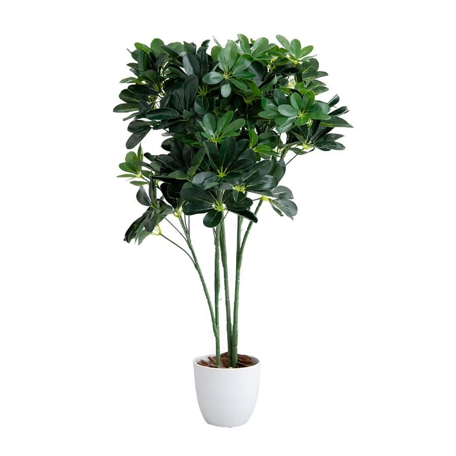観葉植物 カポック シェフレラ フェイクグリーン グリーン : 琥珀商店