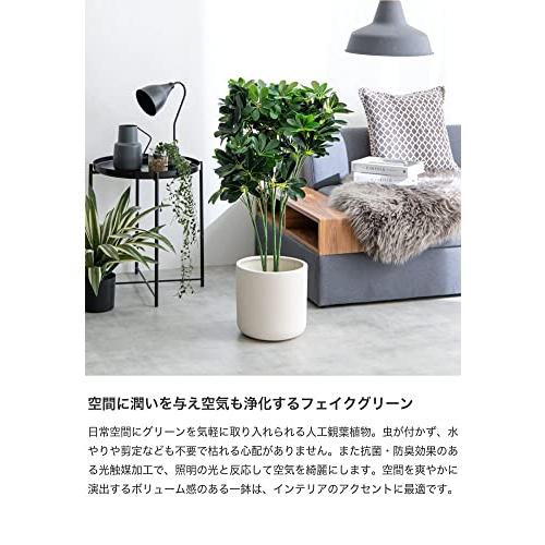 観葉植物 カポック シェフレラ フェイクグリーン グリーン : 琥珀商店