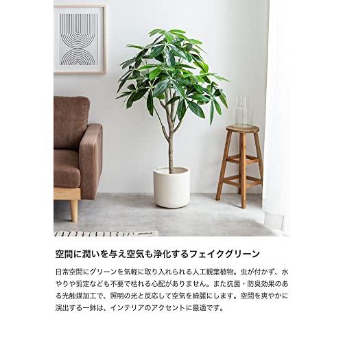 観葉植物 パキラ フェイクグリーン 人工 室内 グリーン : 琥珀商店