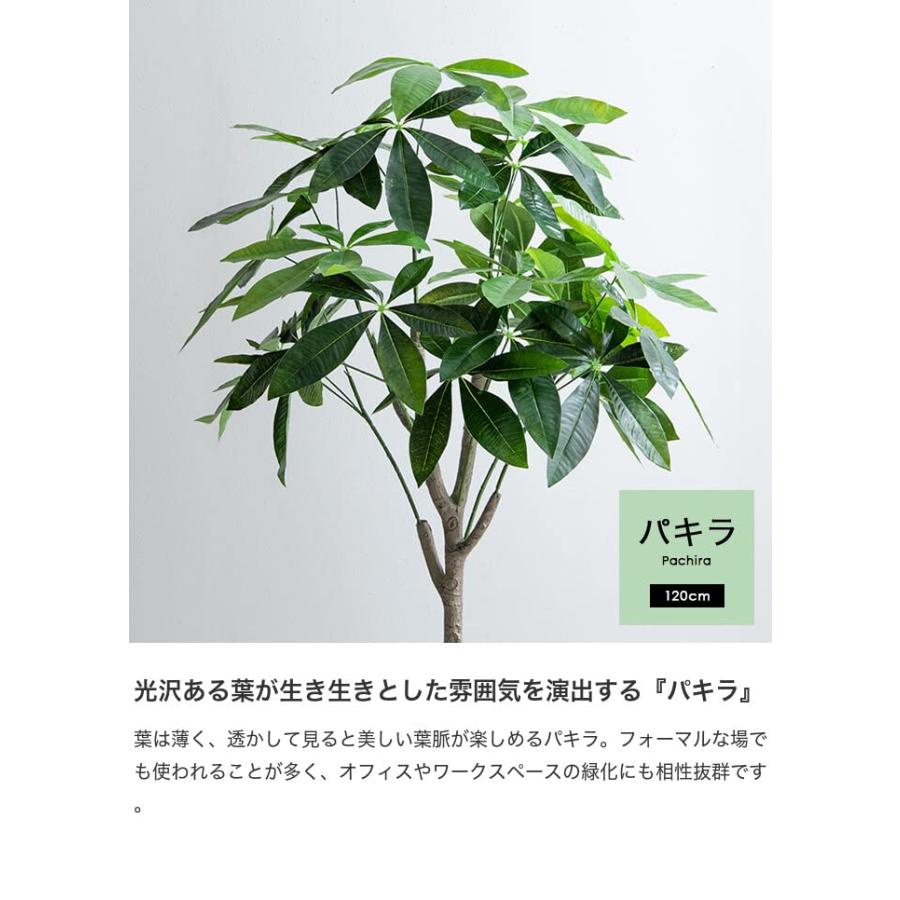 観葉植物 パキラ フェイクグリーン 人工 室内 グリーン : 琥珀商店