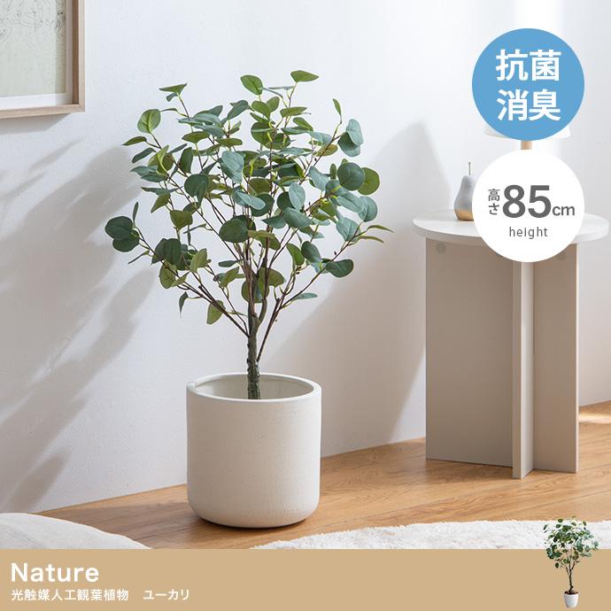 光触媒人工観葉植物 ユーカリ 高さ85cm : 琥珀商店 Yahoo!ショップ