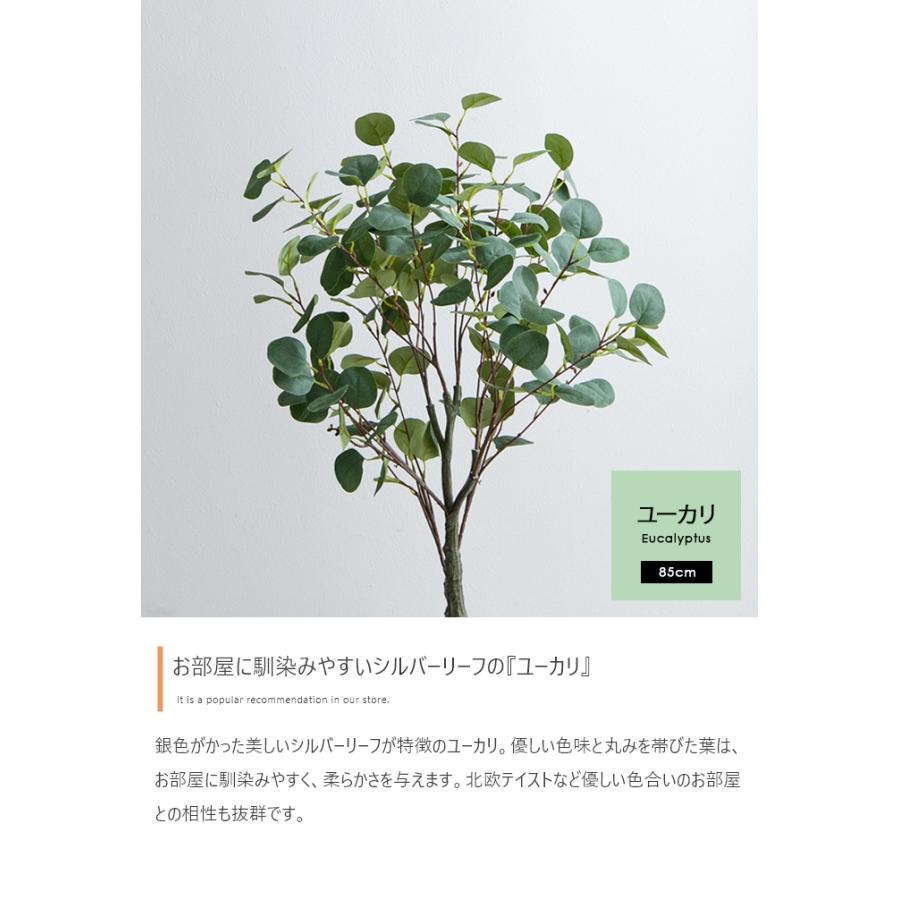 光触媒人工観葉植物 ユーカリ 高さ85cm : 琥珀商店 Yahoo!ショップ