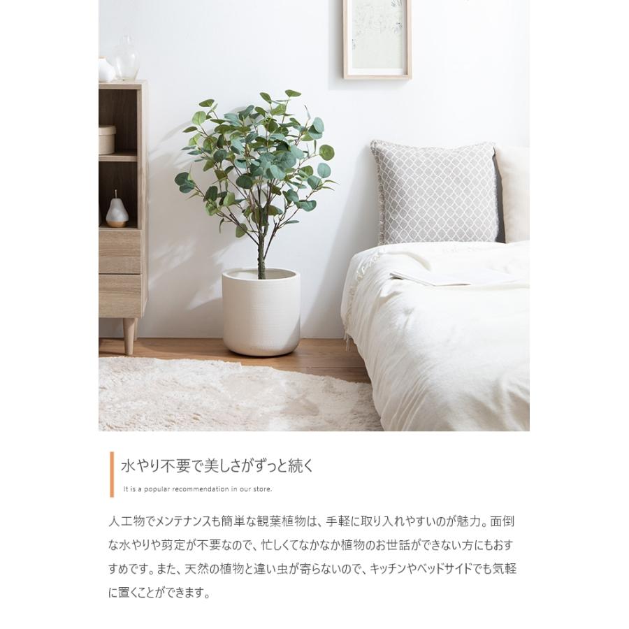 光触媒人工観葉植物 ユーカリ 高さ85cm : 琥珀商店 Yahoo!ショップ