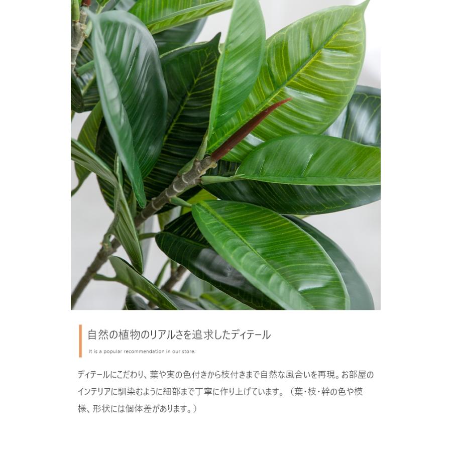 光触媒人工観葉植物 ユーカリ 高さ85cm : 琥珀商店 Yahoo!ショップ