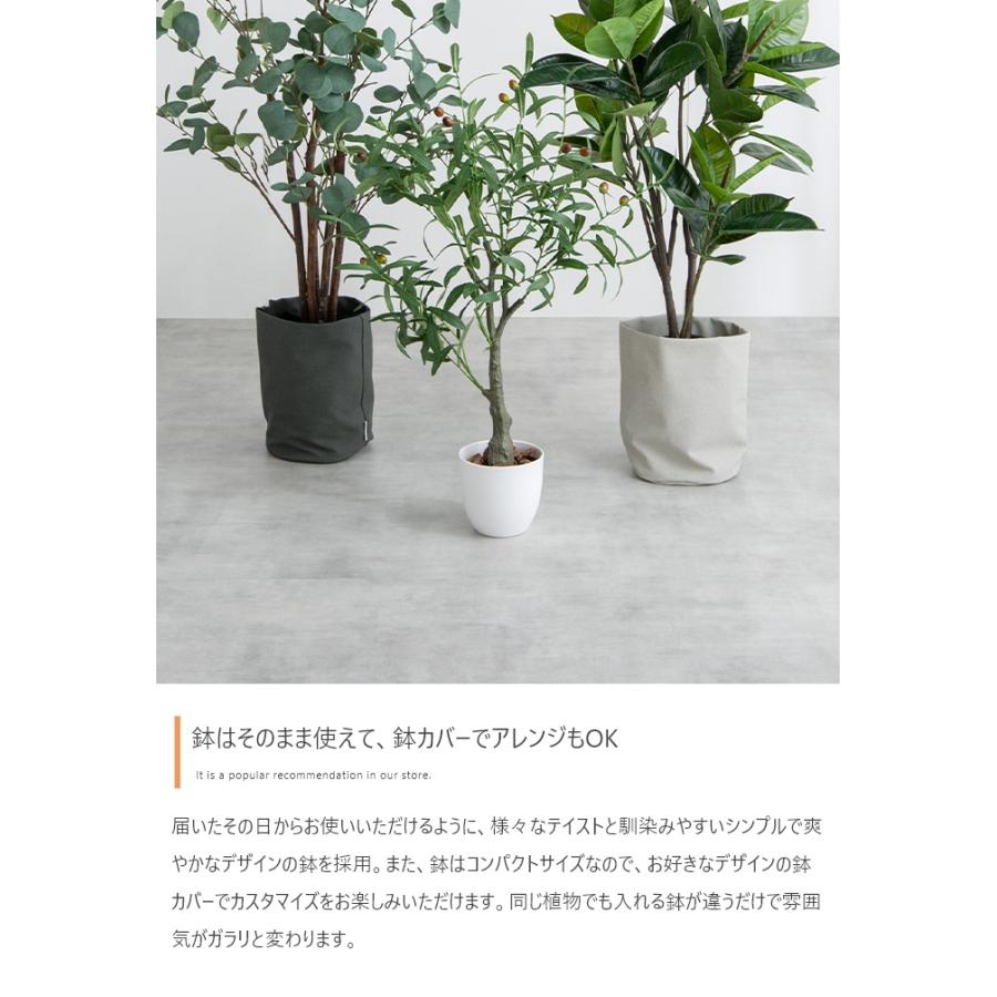 光触媒人工観葉植物 ユーカリ 高さ85cm : 琥珀商店 Yahoo!ショップ