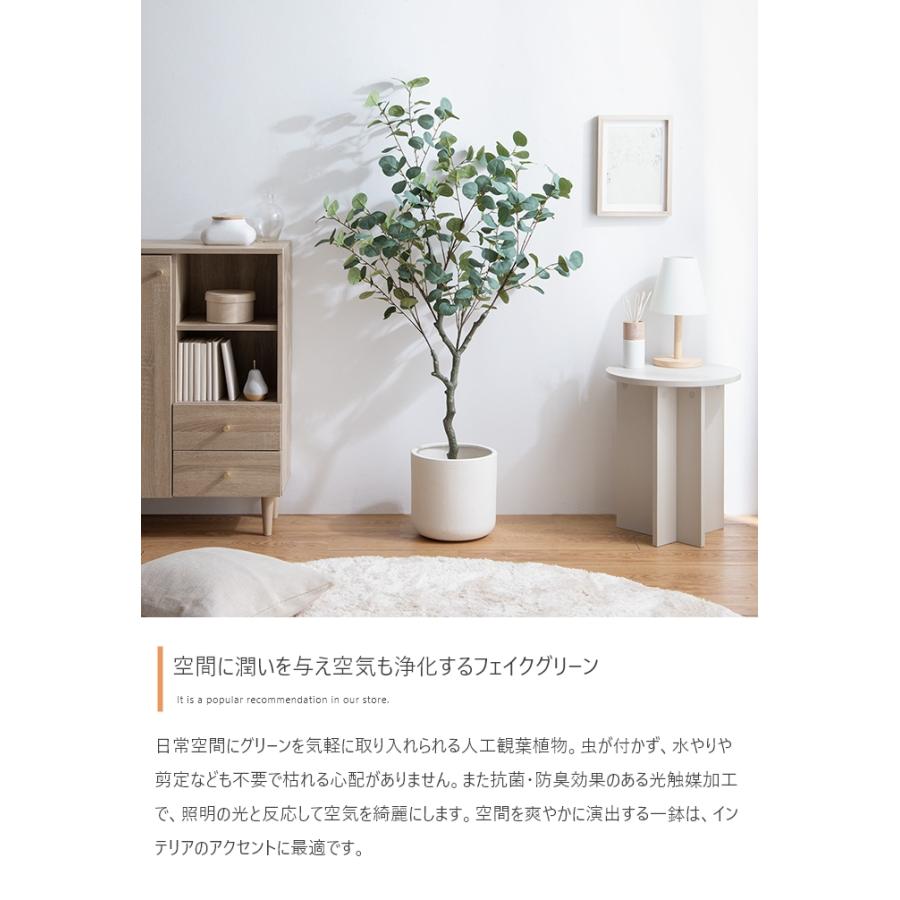 光触媒人工観葉植物 ユーカリ 高さ130cm : 琥珀商店 Yahoo!ショップ