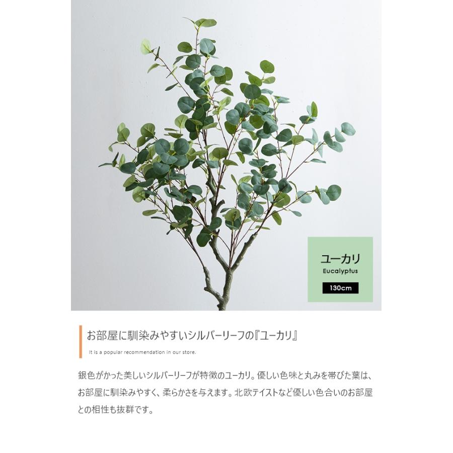 光触媒人工観葉植物 ユーカリ 高さ130cm : 琥珀商店 Yahoo!ショップ