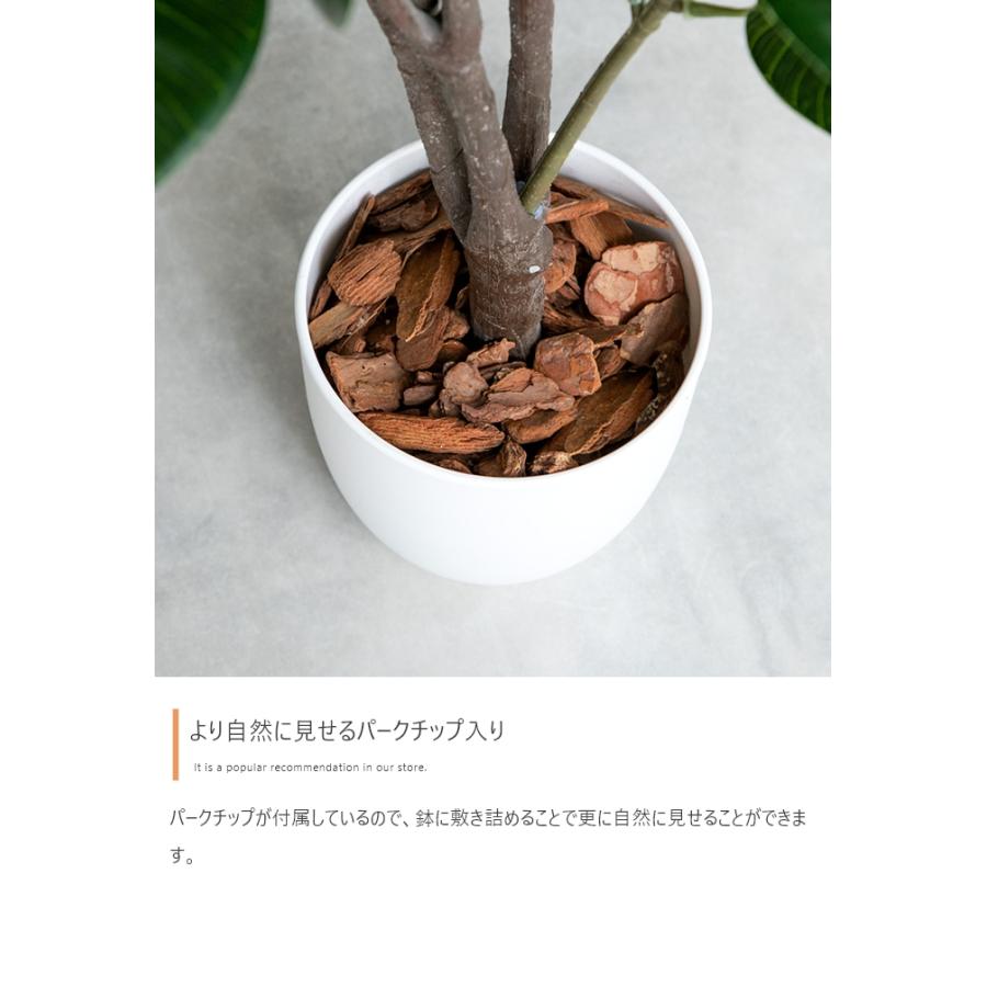 光触媒人工観葉植物 ユーカリ 高さ130cm : 琥珀商店 Yahoo!ショップ