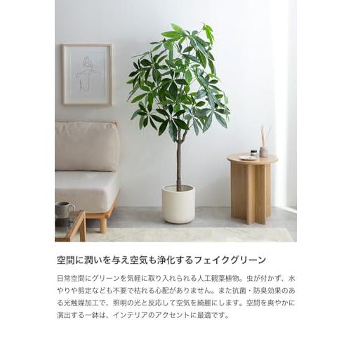 観葉植物 パキラ フェイクグリーン 人工 室内 グリーン : 琥珀商店