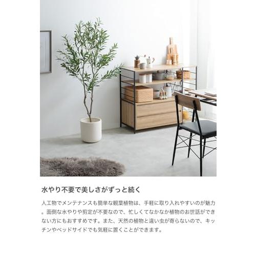 観葉植物 パキラ フェイクグリーン 人工 室内 グリーン : 琥珀商店