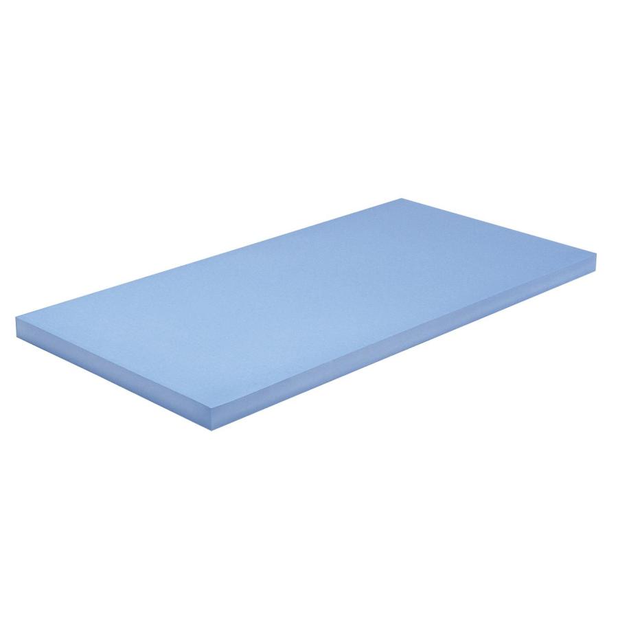 TOEI LIGHT（トーエイライト） ロングビート2000 青 TOEI LIGHT B3083B