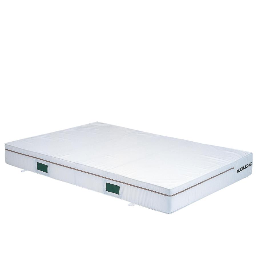 トーエイライト G1456A 150×200×20cm TOEI LIGHT TOEI LIGHT（トーエイライト） 抗菌・普通・ス 1.5×2×0.2 カバー