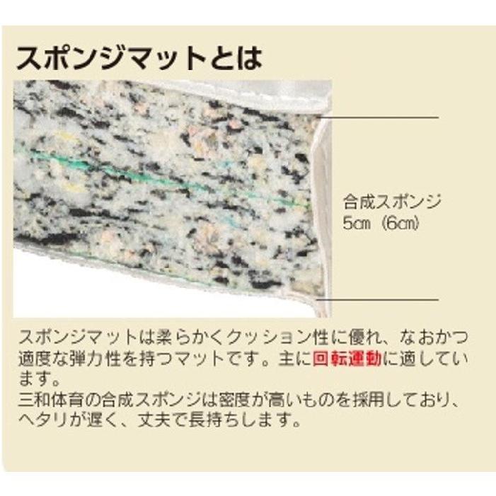三和体育 抗菌合成スポンジマット ノンスリップタイプ 9号 90×180×6 学校 体育用品 送料無料 S-9665
