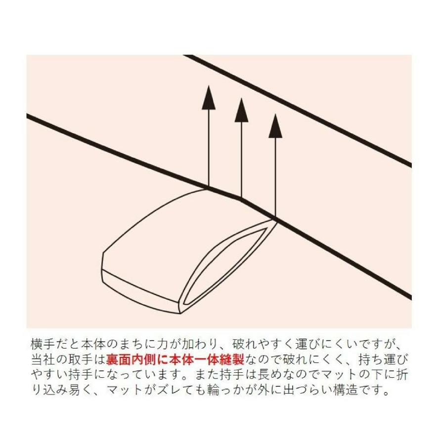 三和体育 ミラースポンジコンビマット 9号 120×240×5 学校 体育用品 送料無料 S-9701_1