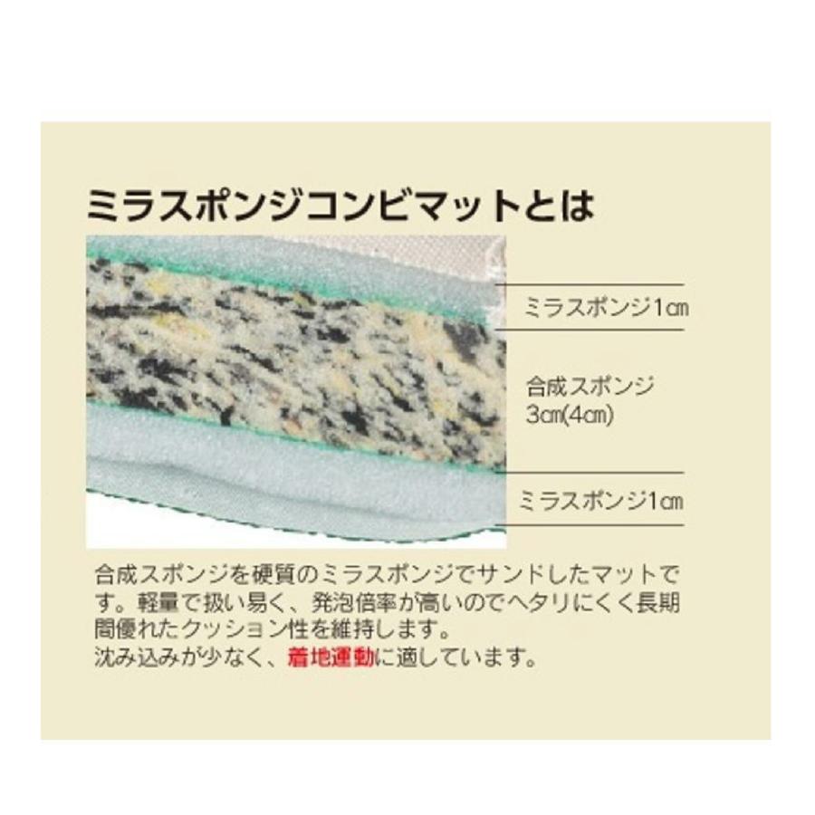三和体育 ミラースポンジコンビマット 9号 120×240×5 学校 体育用品 送料無料 S-9701_2