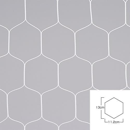 【法人限定】 EVERNEW エバニュー EKD862 フットサルネット亀甲F106 EVERNEW（エバニュー） フットサルネット亀甲F106 送料無料 EKD862